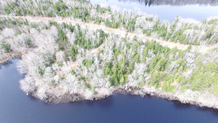 WentworthHalbinsel (51)